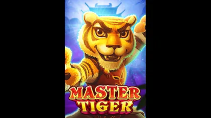 Master Tiger game artwork